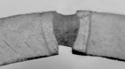 vraag 9 - 7.3 fig-10-03.jpg